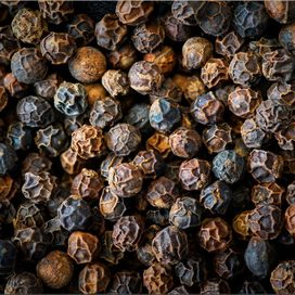 Black pepper