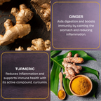 DATI Ginger & Turmeric Date Energy Bites