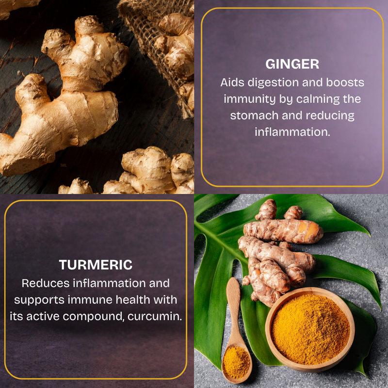 DATI Ginger & Turmeric Date Energy Bites